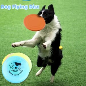Silicone Flying Saucer Dog Game Flying Discs