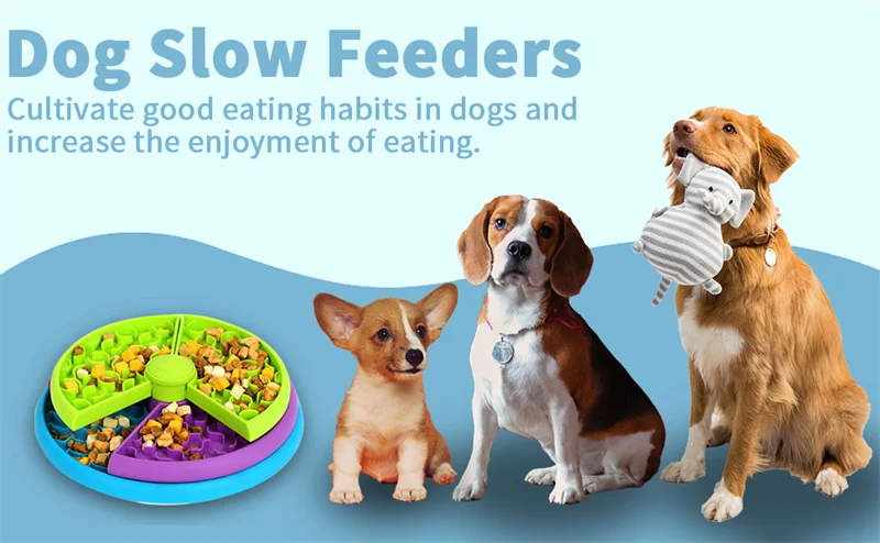Slow food bowl anti choking