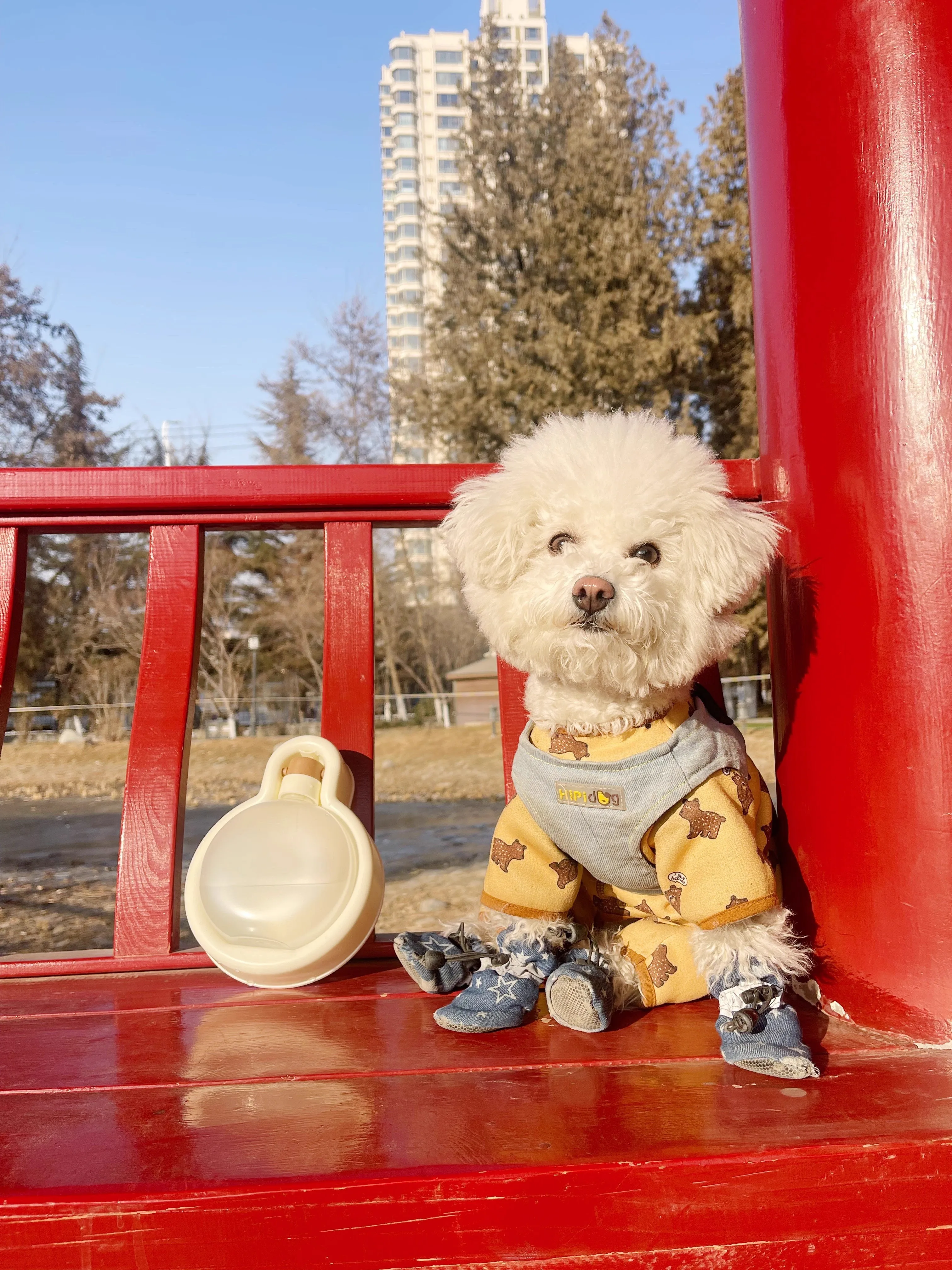 Out Drinking Water Feeder